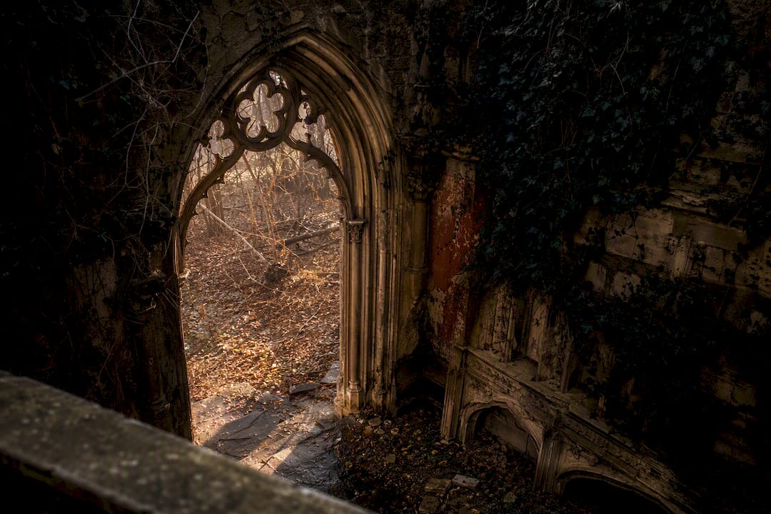 Cracked gothic window with vines and shadows